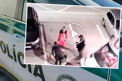 brutalita viral video|brutalita (@.